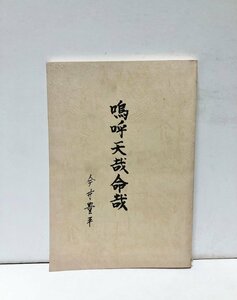 昭60 嗚呼天哉命哉 周水子警備隊海南海軍特務部 今井豊平 148P 非売品