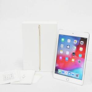 Apple iPad mini 4 A1550 16GB Gold ドコモ docomo タブレット アップル 箱付き Kキ66