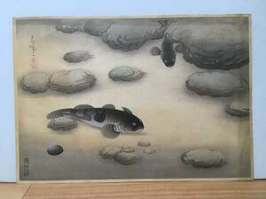 【ドンコ】「大日本魚類画集」 大野麥風 木版画 大野麦風 おおのばくふう Ono Bakufu Ohno　※タトウなし