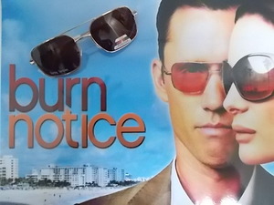 バーンノーティス　burn notice　検索用）オリバーピープルズ　ヴィクトリー　OLIVER PEOPLES Victory　　