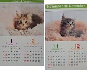 【２冊：大きい カレンダー:可愛い「子猫」:B3:52x36㎝】★2025：可愛い「猫・ネコ・ねこ」★大きな サイズこよみ 暦：見開き：No3