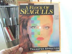 z/ピクチャー盤/A Flock Of Seagulls/Transfer affection