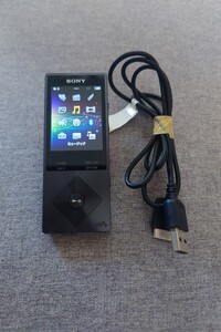 SONY NW-A25 ソニー WALKMAN ポータブル デジタルオーディオプレーヤー 中古品 