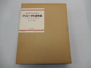 ブリューゲル全作品　森洋子/編著　中央公論社　BRVEGEL　カラー図版181図・参考図版571図