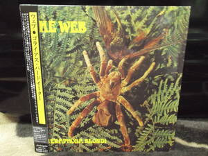 THE WEB[THERAPHOSA BLONDI ]CD紙ジャケ 廃盤　旧規格