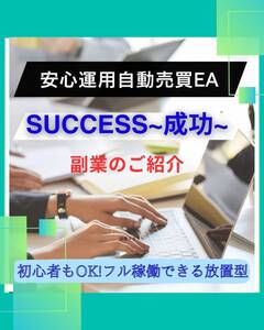 ☆お試し特別価格☆FX自動売買/超安定型/完全放置/長期運用実績あり♪