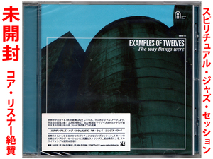 ★未開封★スピリチュアル・ジャズ・セッション★ エグザンプルズ・オブ・トウェルヴズ『 THE WAY THINGS WERE』Examples Of Twelves★