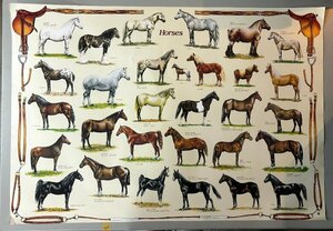 HORSES 馬 乗馬 牧場 レトロ　一覧　年代物　ポスター　