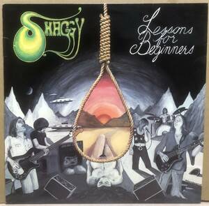 北欧ハード　スウェーデンオリジナル盤　Shaggy / Lessons For Beginners