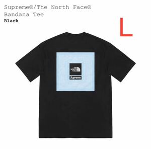 Supreme / The North Face Bandana Tee シュプリーム / ザ ノース フェイス バンダナ Tシャツ Black ブラック 黒 サイズ L 新品