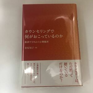 未読本 カウンセリングで何がおこっているのか 9784535562943 桑原知子 日本評論社 希少　Amazonプレミア