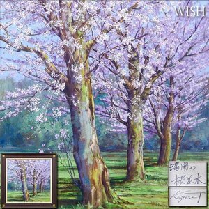 【真作】【WISH】田中清「満開の桜並木」油彩 10号 1999年作 スクエア ◆桜花名画 　　〇無所属人気画家 #24073413