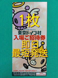 【即日・匿名発送】東京ドイツ村 入場ご招待券 1枚 有効期間2024年12月31日 ウインターイルミネーション 優待券 割引券 クーポン チケット
