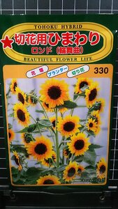 ３袋セット 切花用 ひまわり ロンド 輪舞曲 向日葵 種 郵便は送料無料