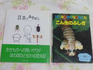 ＵＳＥＤ★「こんちゅうとあそぼう」「こん虫のふしぎ」2冊セット／家庭学習・自由研究に／とだこうしろう・講談社カラー科学大図鑑