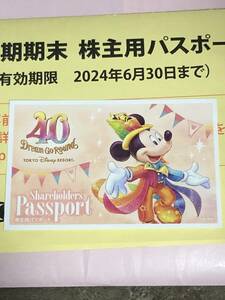 ディズニーランド　ディズニーシー　パスポート　ディズニーリゾート　2024年6月30日まで