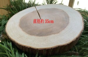 (クワガタバトル用台)丹波産 杉 直径 約35cm 厚さ約4cm 1枚