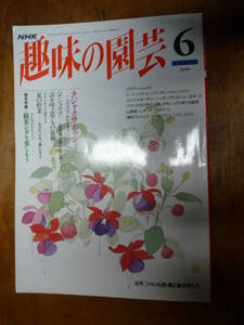 NHK趣味の園芸 1994年6月号（中古）