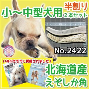 ■ 小～中型犬用 ■ 天然 北海道産 蝦夷鹿の角 ■ 半割り 2本セット ■ 犬のおもちゃ ■ 無添加 エゾシカ ツノ 鹿の角 犬 ■ 24221