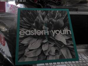 EASTERN YOUTH イースタンユース / 孤立無援の花 クリアビニールLP 坂本商店 FOUL BLOODTHIRSTY BUTCHERS 吉野寿 SLEDGE HAMMER 桜花 