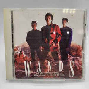 ⑩ WANDS / CD ｜ ワンズ ｜ ロック / J-ROCK / TOCT-6504