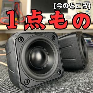 ▲▼▲50mmフルレンジスピーカー ミッドハイ■ツイーター代わりに バイワイヤー Wavecor デンマーク発 ハイパスフィルター付 ミッドレンジ