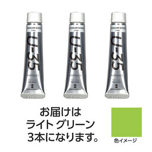 まとめ得 【3本×5セット】 ターナー色彩 U35 ライトグリーン20ml TURNER108674X5 x [2個] /l