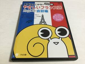 ◆セル版 動作OK◆やさしいフランス語 カタコト会話帳 DVD 国内正規品 即決