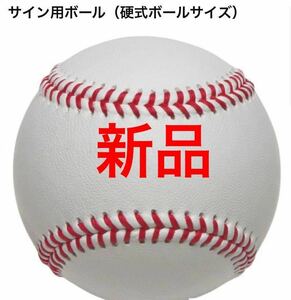 MIZUNO サイン用ボール（硬式ボールサイズ） 1GJYB13000 送料無料