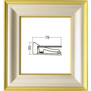 色紙額縁 樹脂製フレーム 4984 金泥