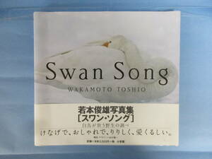 若本俊雄写真集 スワン・ソング SwanSong 白鳥が歌う野生の調べ　小学館