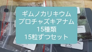 ギムノカリキウム　プロチャズキアナム　15種類　 種子各15粒セット