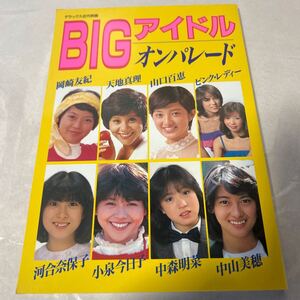 BIGアイドルオンパレード　デラックス近代映画　平成6年7月5日　中森明菜　中山美穂　河合奈保子　小泉今日子　山口百恵【15KM-013103】