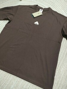 新品 未使用 NIKE ACG 刺繍 半袖 Tシャツ ブラウン XL ナイキ アウトドア メンズ