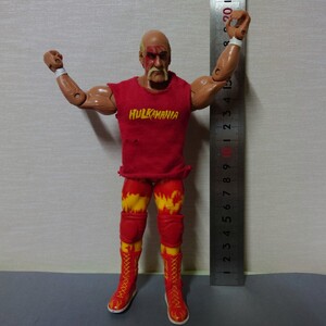 ハルク・ホーガン 2010 ジャックスパシフィック社 JAKKS Pacific, Inc. 格闘技 プロレス アクションフィギュア 関節可動　12