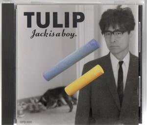 チューリップ JACK IS A BOY TULIP 　32FD-1033 