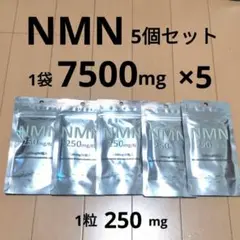 NMN 37500mg 5個セット 純度99.9%以上　国内製造 若返り　DNA