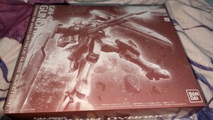 【プレミアムバンダイ限定商品】 MG 1/100 ガンダムデュナメス （トランザムモード） ［メタリックグロスインジェクション］ 未組立品