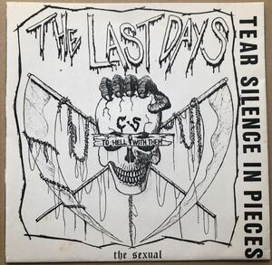 ポスター付 the SEXUAL The Last Days FLEXI セクシャル　ソノシート 