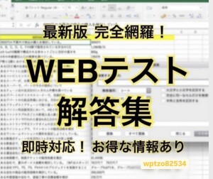 【2024年11月22日更新 即発送確約】Webテスト解答集 25,26年度新卒対応済み 新/旧型玉手箱・SPI（Webテイスティング）