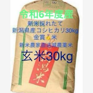 新潟県産米 最高金賞受賞 魚沼産より美味しい令和6年度産 農家直送 新米 玄米 コシヒカリ 30kg キロ 減農薬米 健康 新潟市西蒲区 2024年