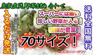 おまかせ冬野菜詰め合わせ約70サイズ入るだけ発送！期間限定値下げ！