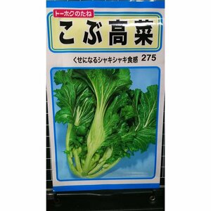 ３袋セット こぶ 高菜 たかな 種 郵便は送料無料