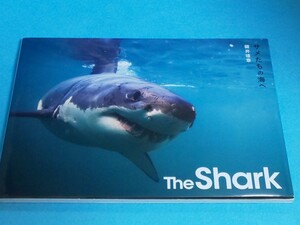 【送料込】The Shark サメたちの海へ 鍵井靖章 写真家／写真集／アート／動物／鮫／本／フォト／カメラマン／2015年／ザ・シャーク