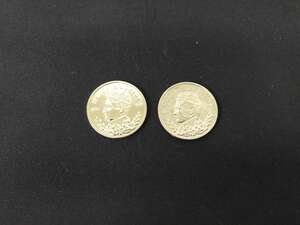 【G211】パンクチャーコイン　レギュラーコイン　2点セット　貫通マジック　コイン　ギミック　マジック　手品