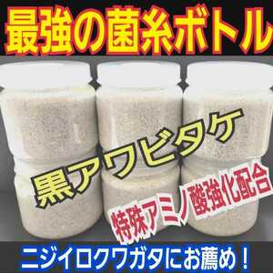 極上！黒アワビタケ菌糸瓶　500ml ニジイロクワガタにお薦め！オオクワ、ヒラタの初令、2令にも最適なボトルサイズ　特殊アミノ酸強化配合