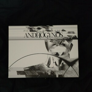 PIERROT DIR EN GREY ANDROGYNOS 豪華版 5DVD 2CD 開封済 V系 ディルアングレイ ピエロ