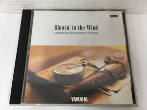 ●○F257 3.5インチ YAMAHA Blowin