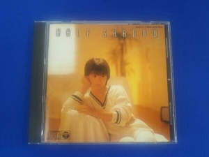 河合奈保子 CD HALF SHADOW