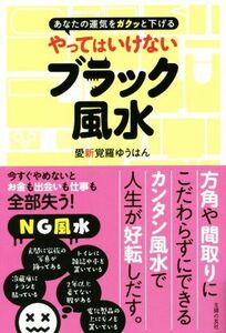 やってはいけないブラック風水 あなたの運気をガクッと下げる／愛新覚羅ゆうはん(著者)